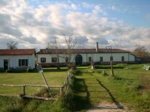 laz nuovo.01