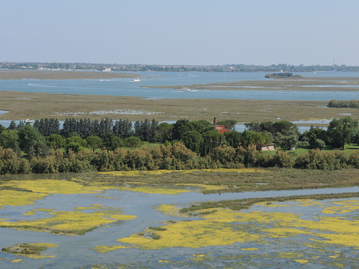 Another great view of the lagoon around Torcello