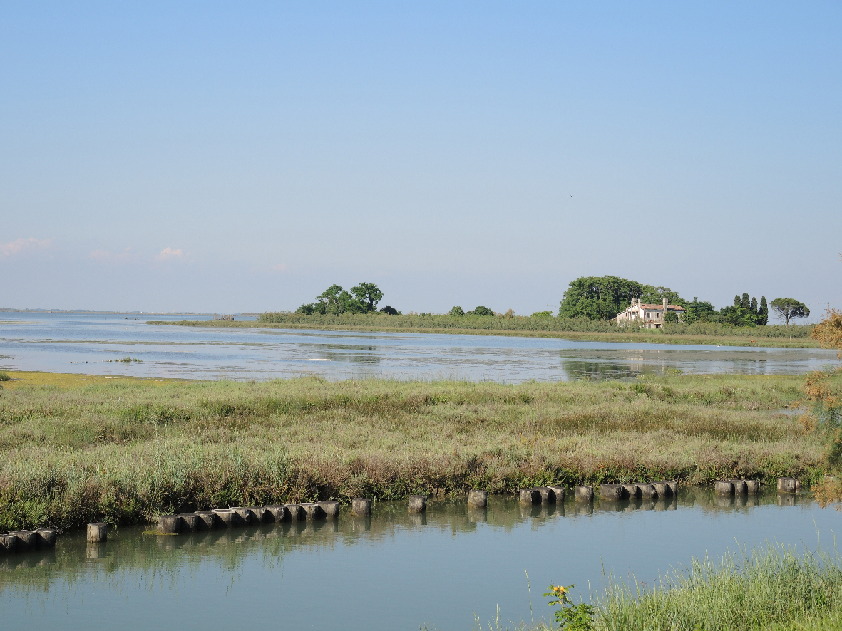 An old farm house and its sorroundings in Torcello