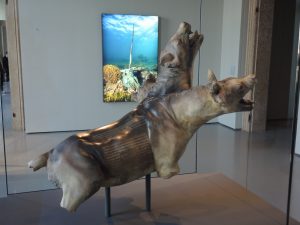 D. Hirst_Cerberus