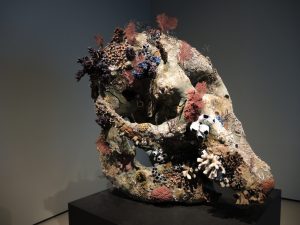 D. Hirst_Skull of a Cyclope