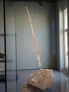 D. Hirst_Skull of a Unicorne