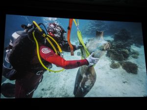 D. Hirst_Wreckage site 01